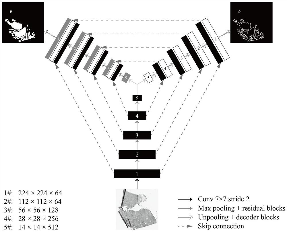 A method and system for identifying cancer focus regions based on full-slice pathological images