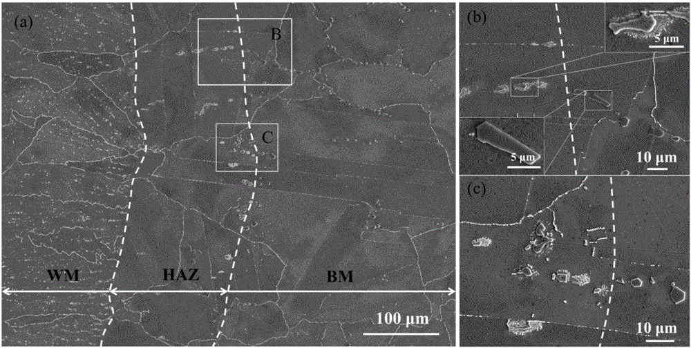 Method for measuring length of heat-affected zone of 617 nickel-based alloy