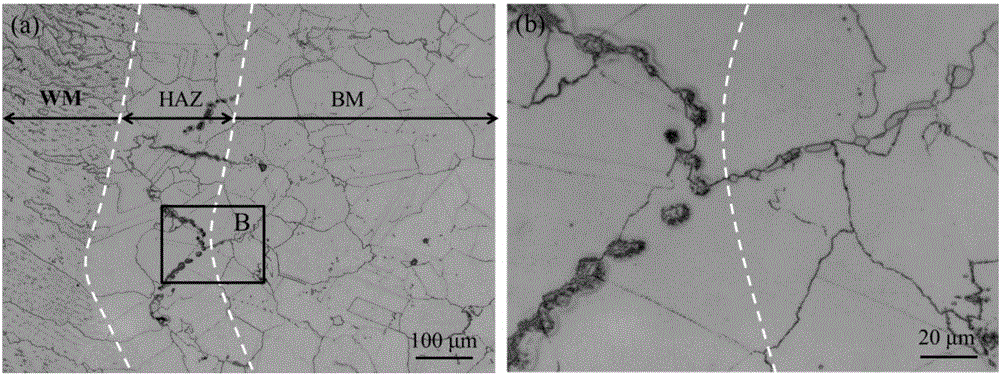 Method for measuring length of heat-affected zone of 617 nickel-based alloy