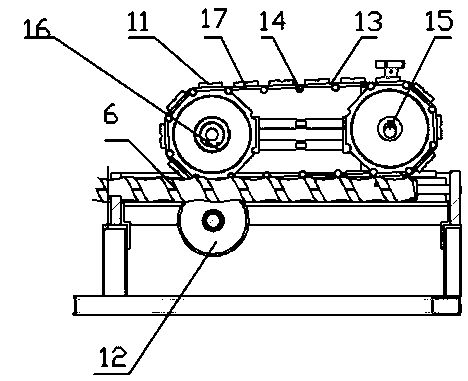 Betel nut processing device