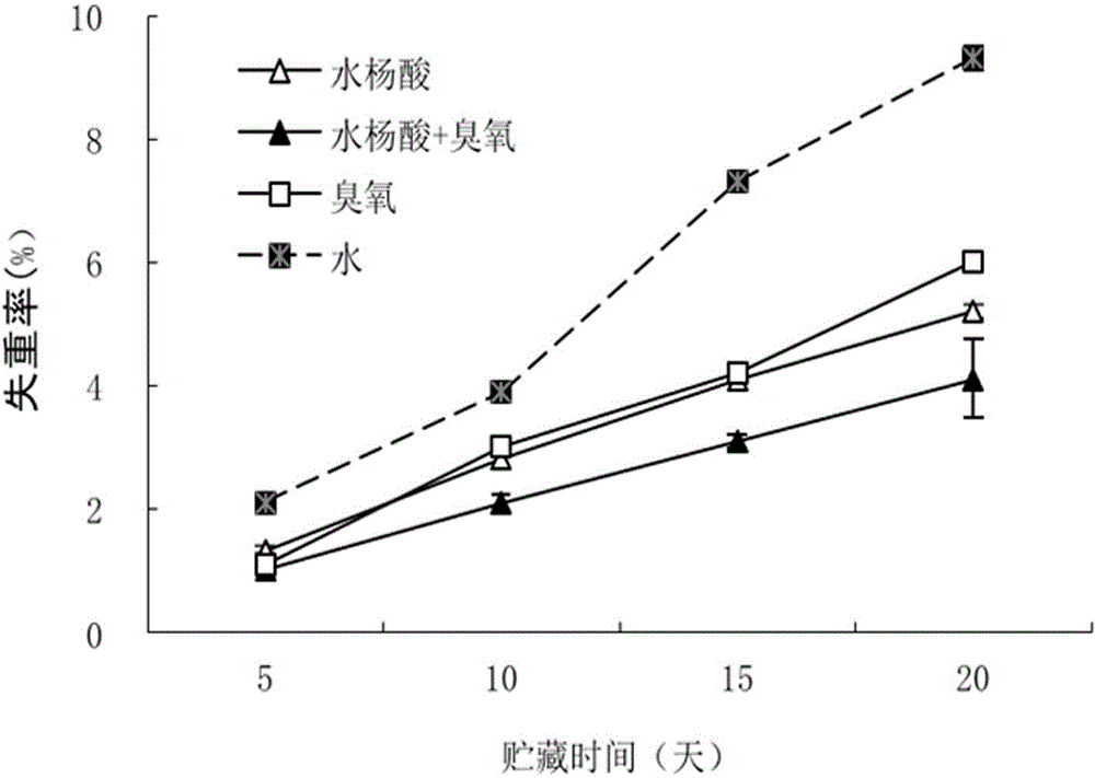 A cold storage and freshness preservation method of treating green bamboo shoots covered with bamboo sheath with the combination of salicylic acid and ozone