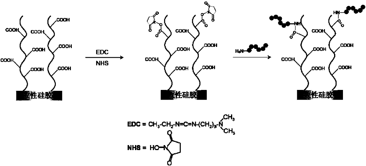 Polypeptide as well as detection device and detection reagent kit comprising polypeptide