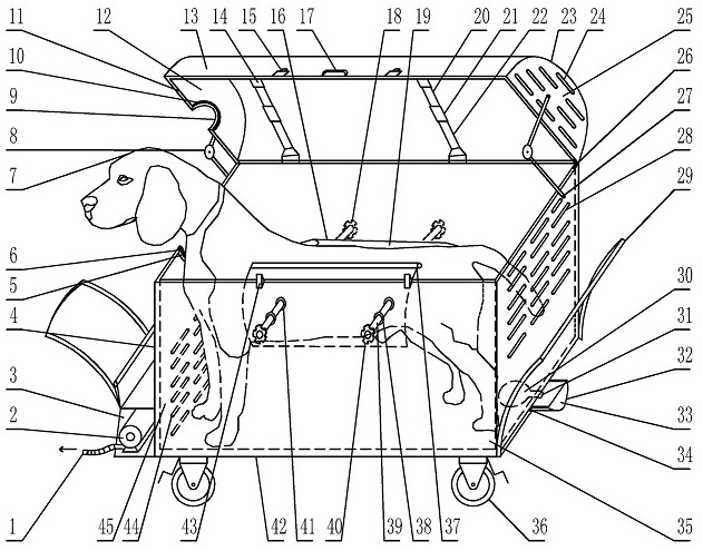 Box-type negative pressure experimental dog fixing and protecting device