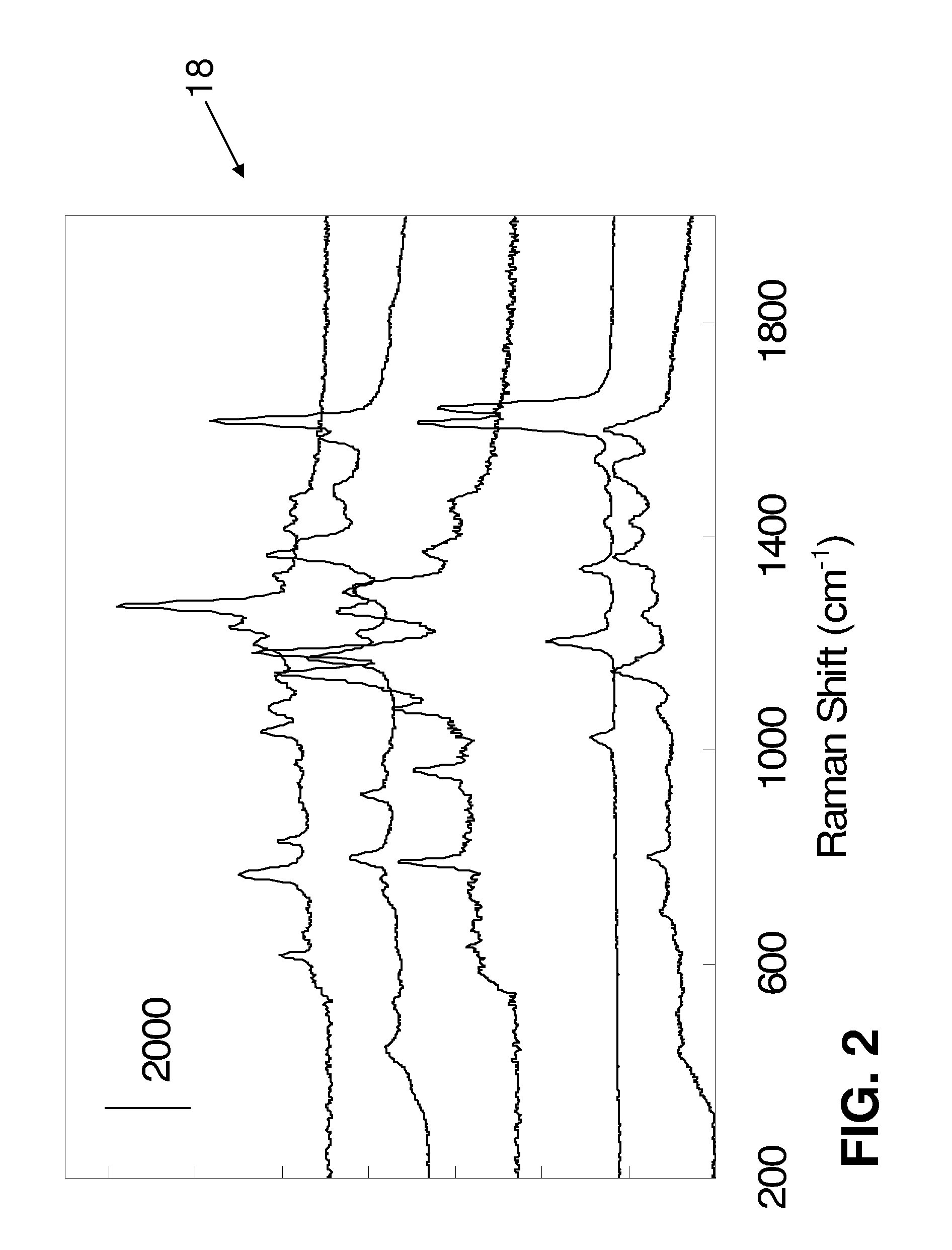 SERS Nanotag Assays