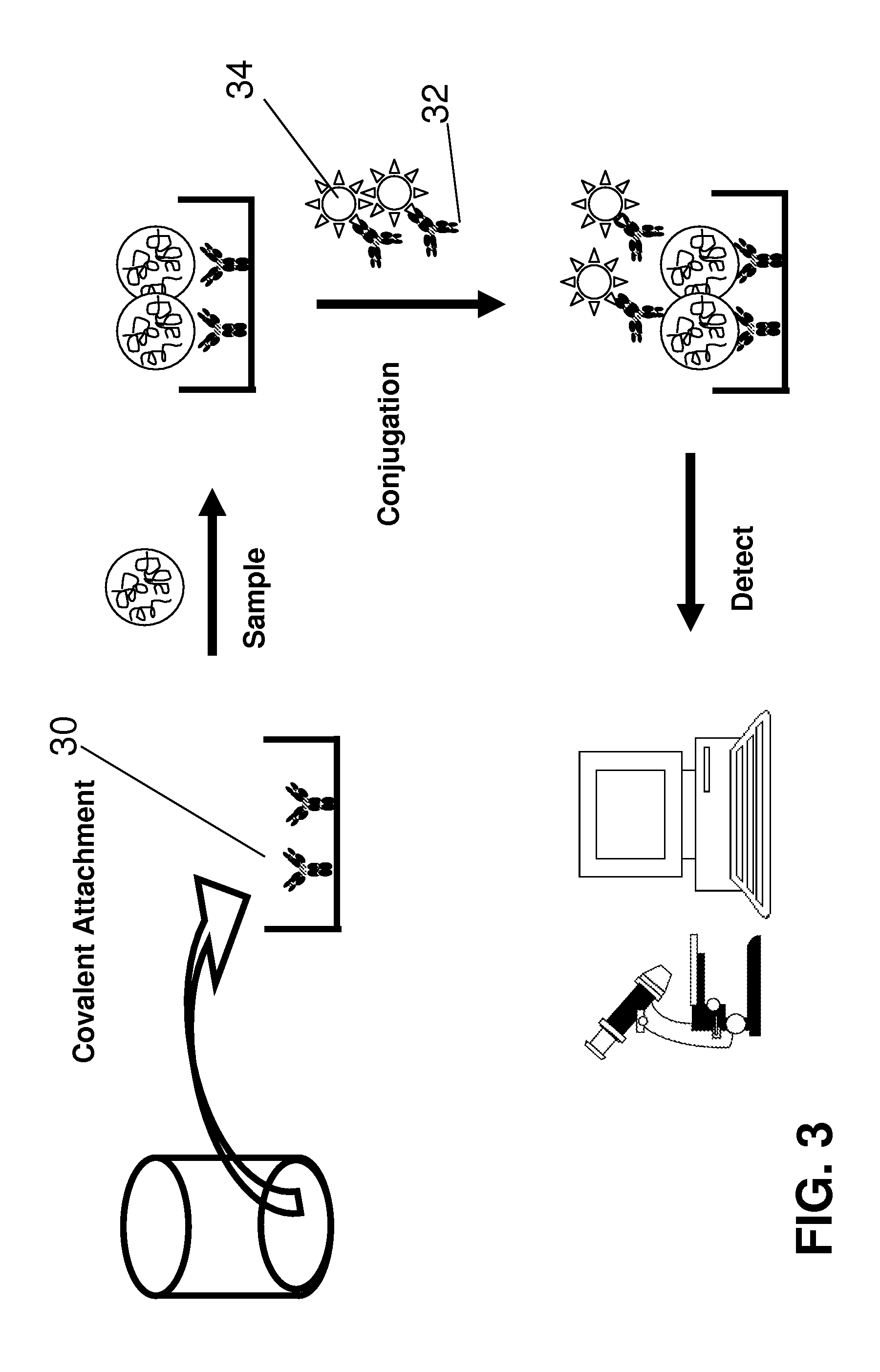 SERS Nanotag Assays