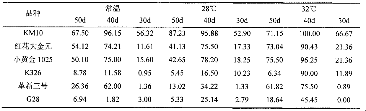 Thermostatic hydroponic identification method for resistance of tobacco black shank at seedling stage