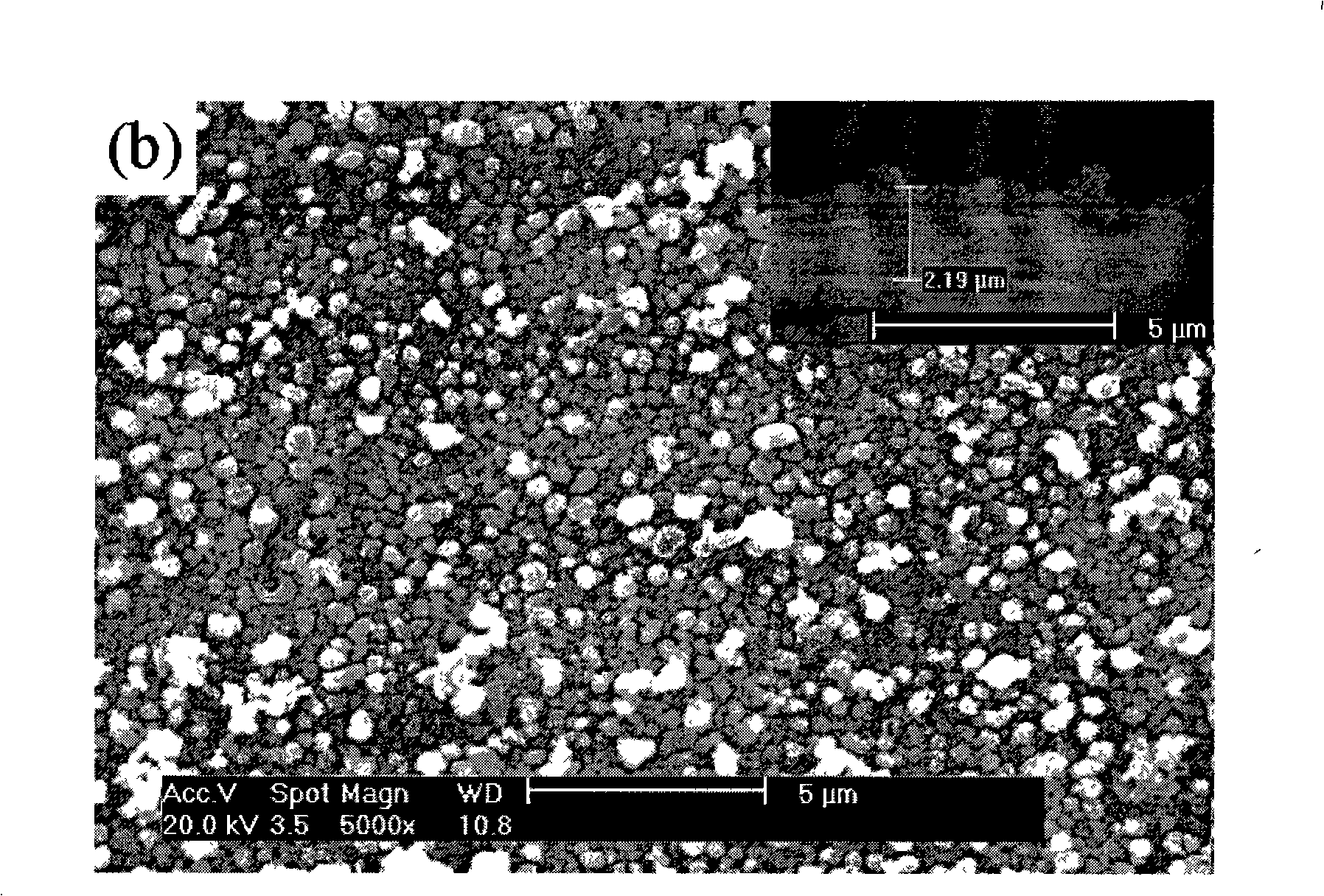 Method for preparing copper indium selenium compound thin film by continuous ion sheath adsorption reaction method