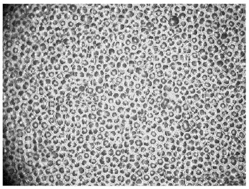 Naked-eye 3D display screen material and preparation method thereof