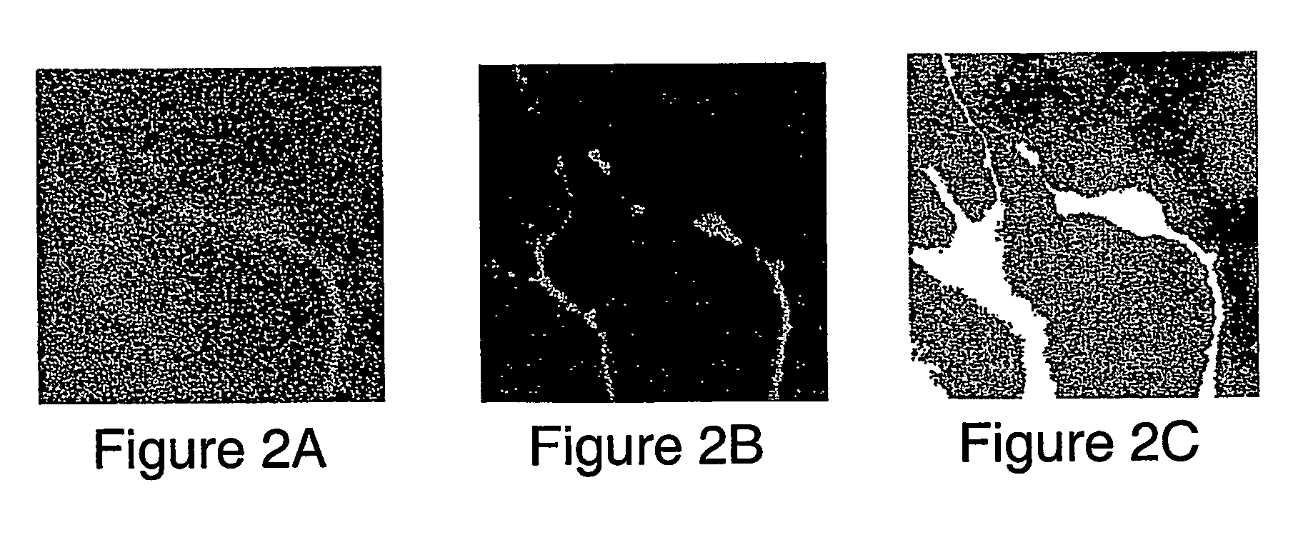 Spatial light modulator apparatus and method