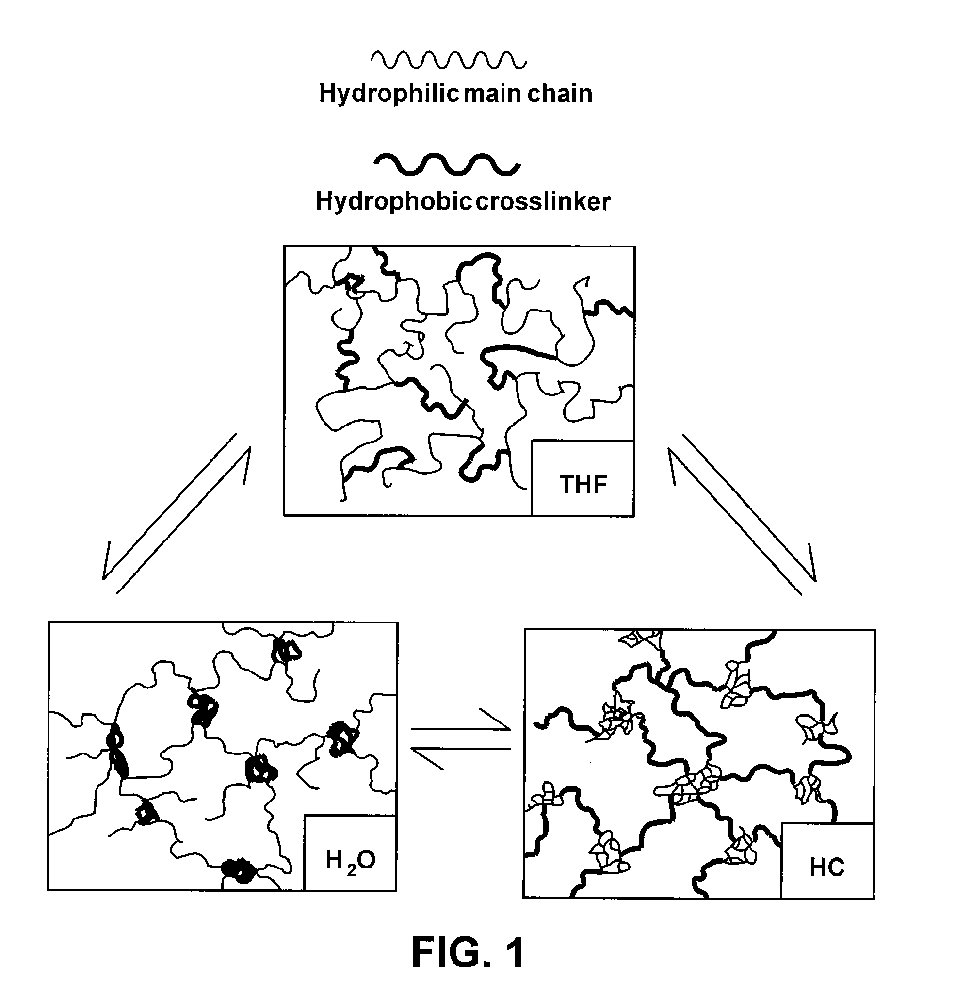 Implantable devices for producing insulin