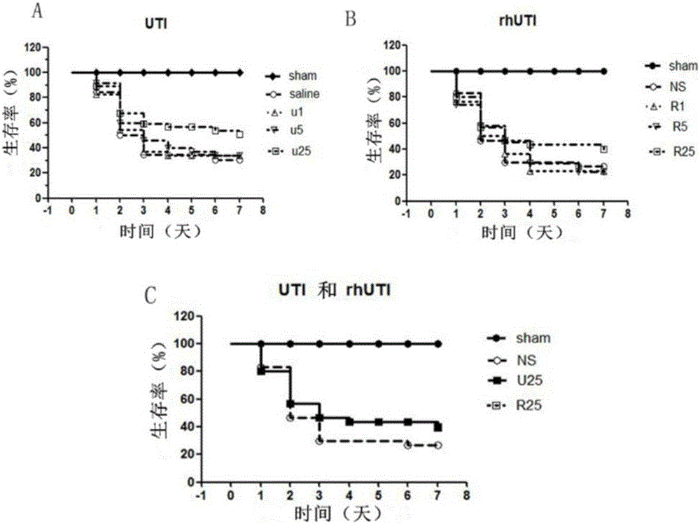 Novel application of recombinant human urinary trypsin inhibitor