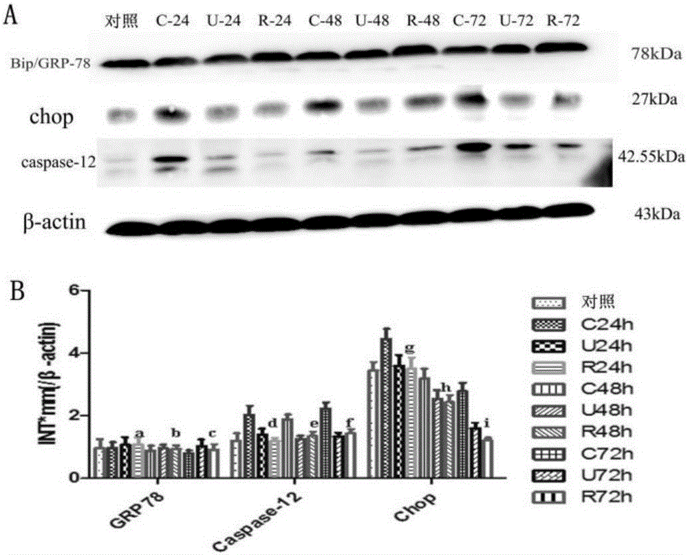 Novel application of recombinant human urinary trypsin inhibitor