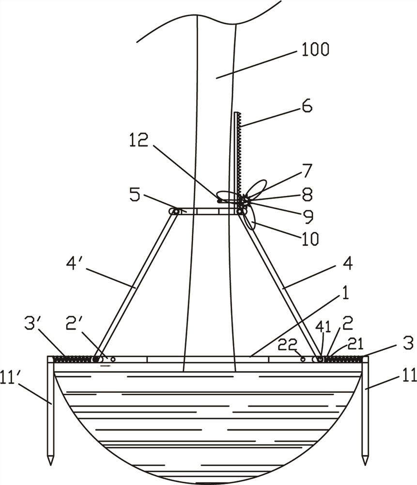 A wind-controlled tree support device