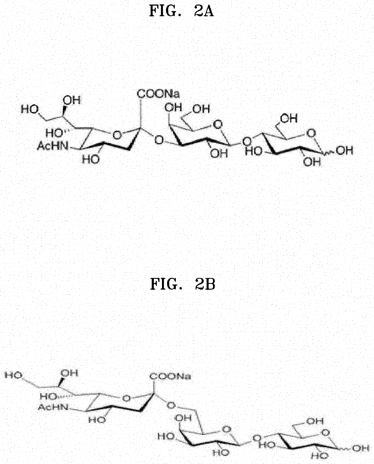 Composition for inhibiting immune cell proliferation comprising sialyllactose or derivative thereof and method thereof