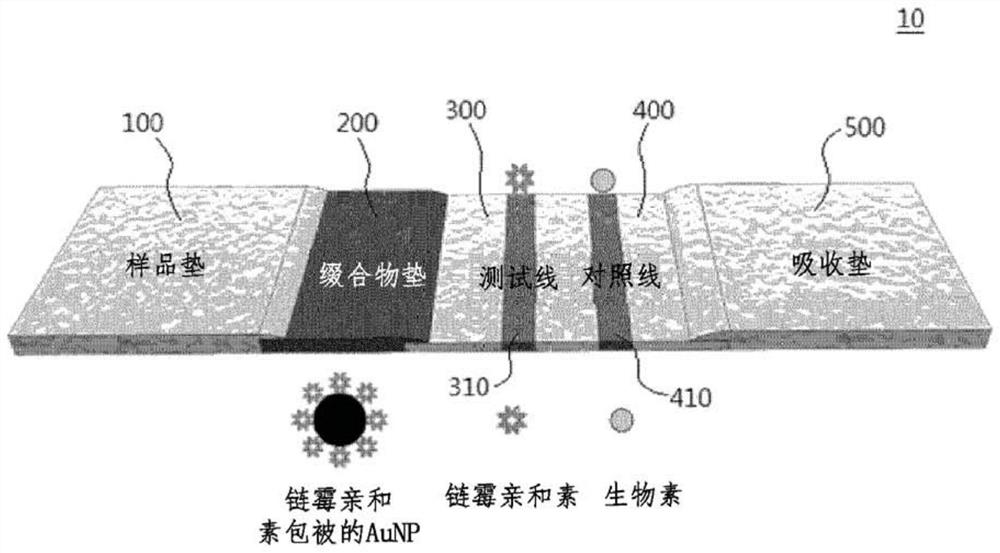 Lateral flow analysis strip and molecular diagnostic method using same