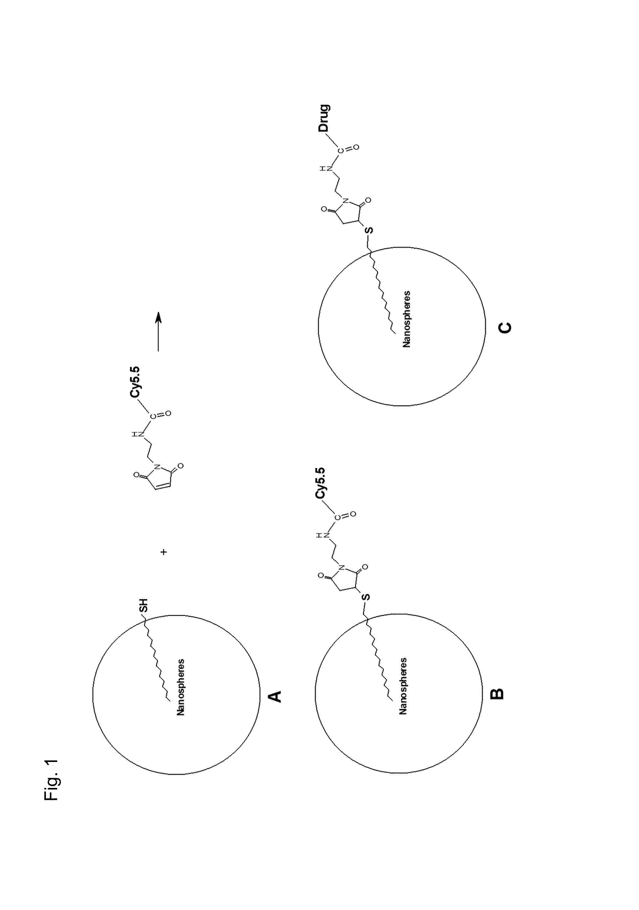 Nanospheres comprising tocopherol, an amphiphilic spacer and a therapeutic or imaging agent