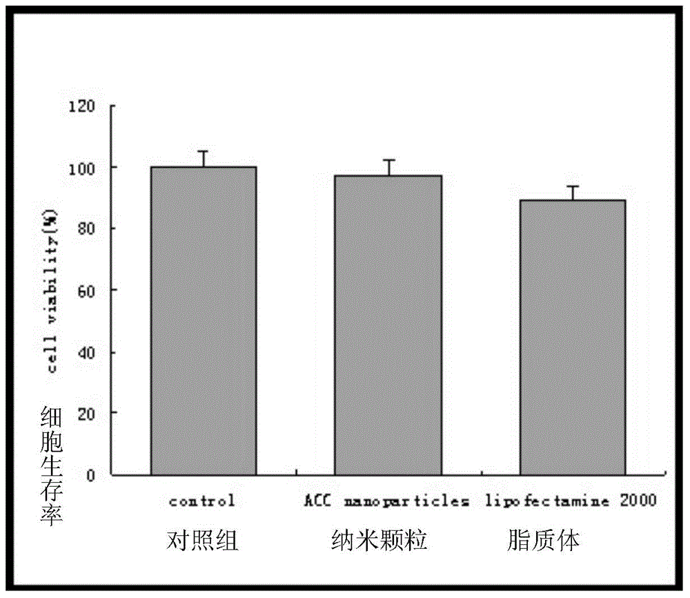 Functional nano catechin gene-introduction material and preparation method thereof