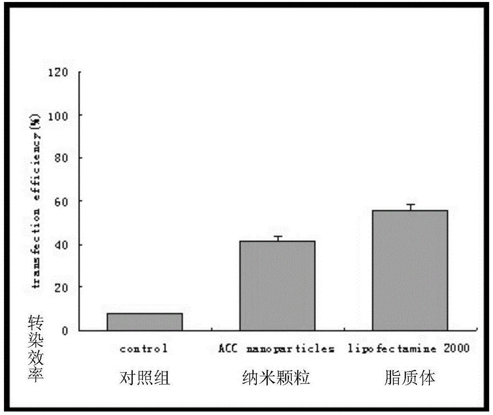 Functional nano catechin gene-introduction material and preparation method thereof