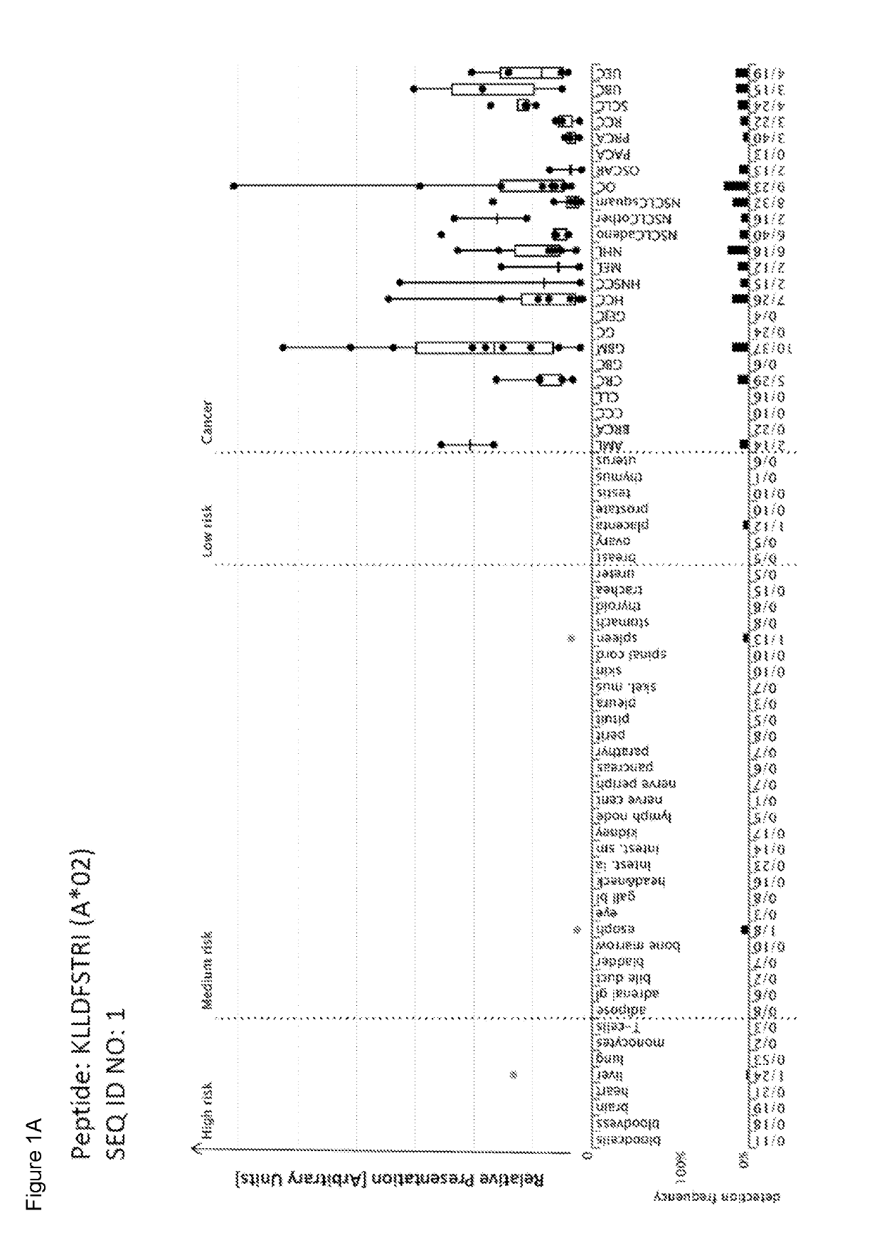 Peptides and combination of peptides of non-canonical origin for use in immunotherapy against different types of cancers