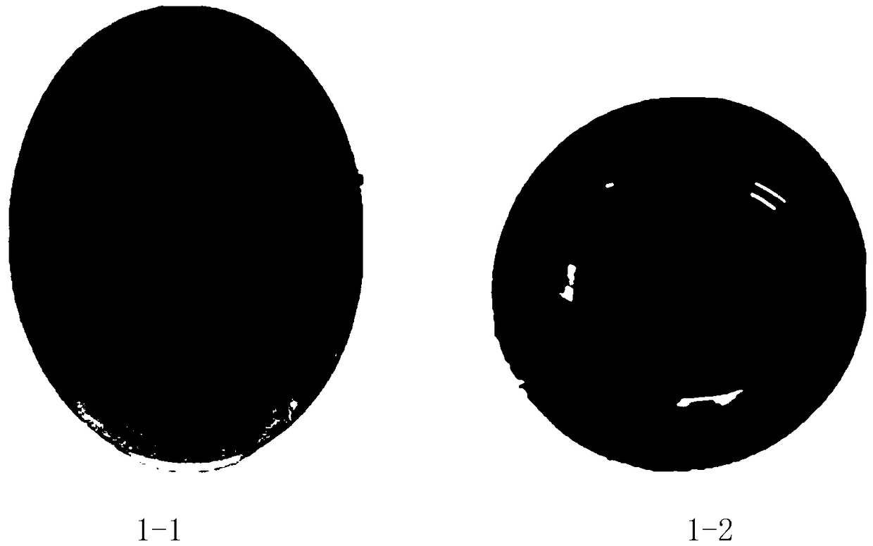 Standard map of pigeon hatching process and construction method thereof