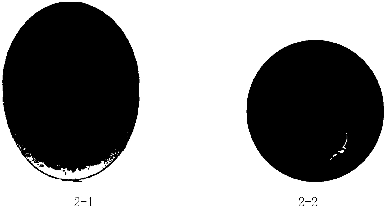 Standard map of pigeon hatching process and construction method thereof