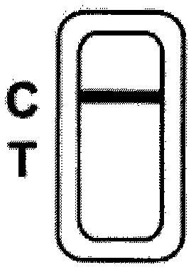 Test strip for detecting HIV antibodies in spittle and preparation method thereof