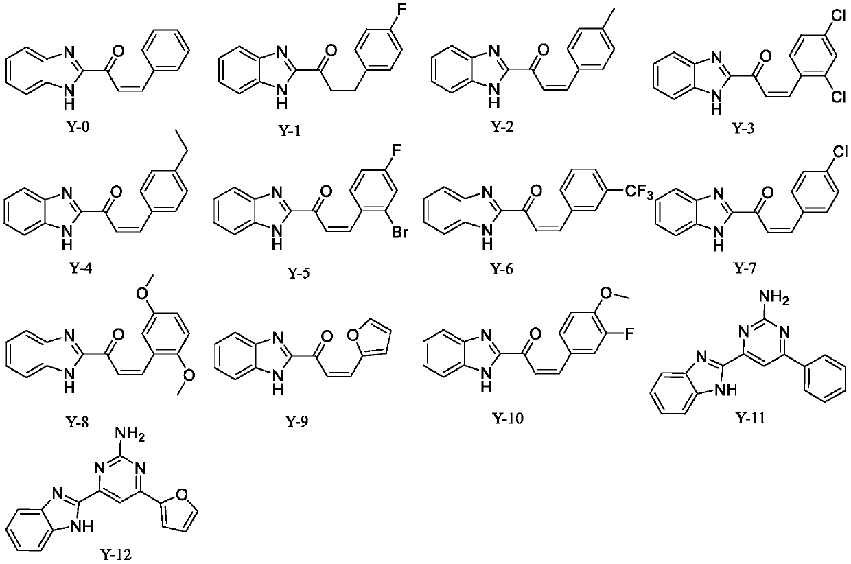 Applications of benzimidazole derivatives in prevention and treatment of agricultural plant diseases