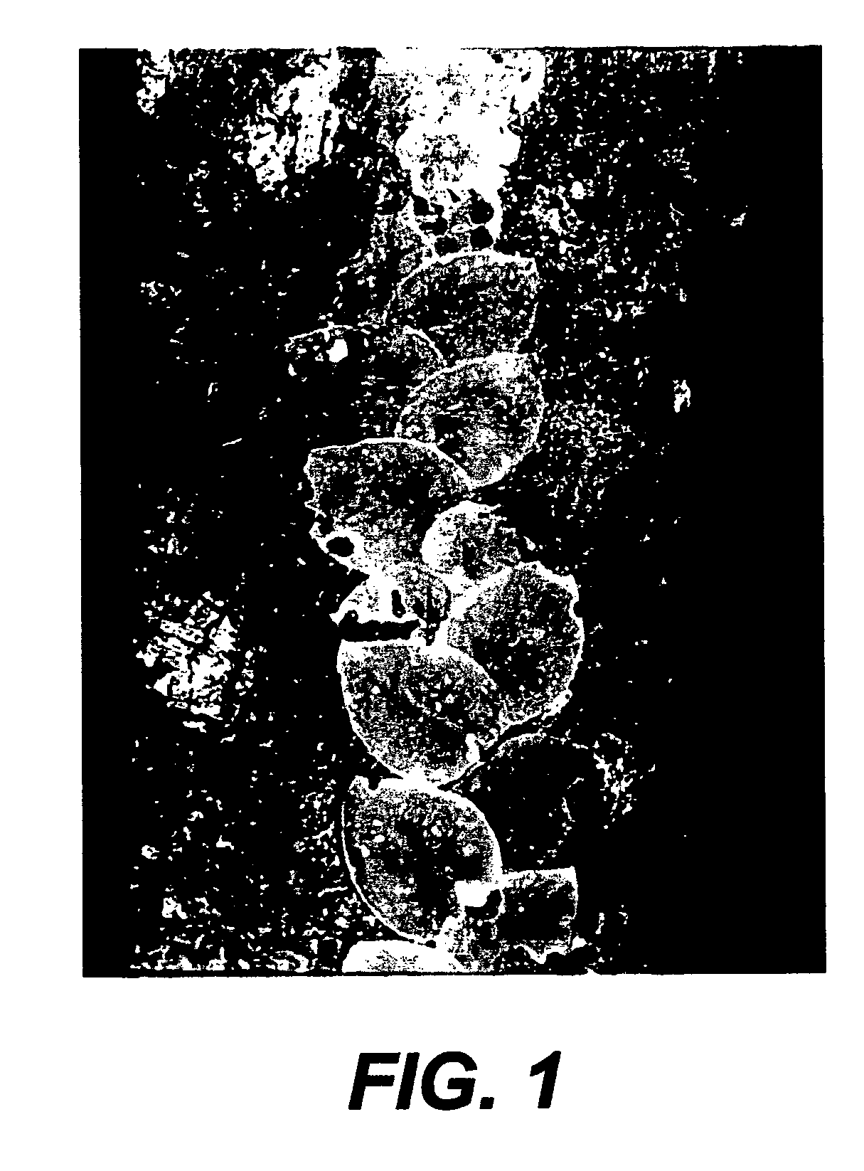 Coronamycins