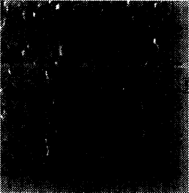 Normal temperature solidified titania sol