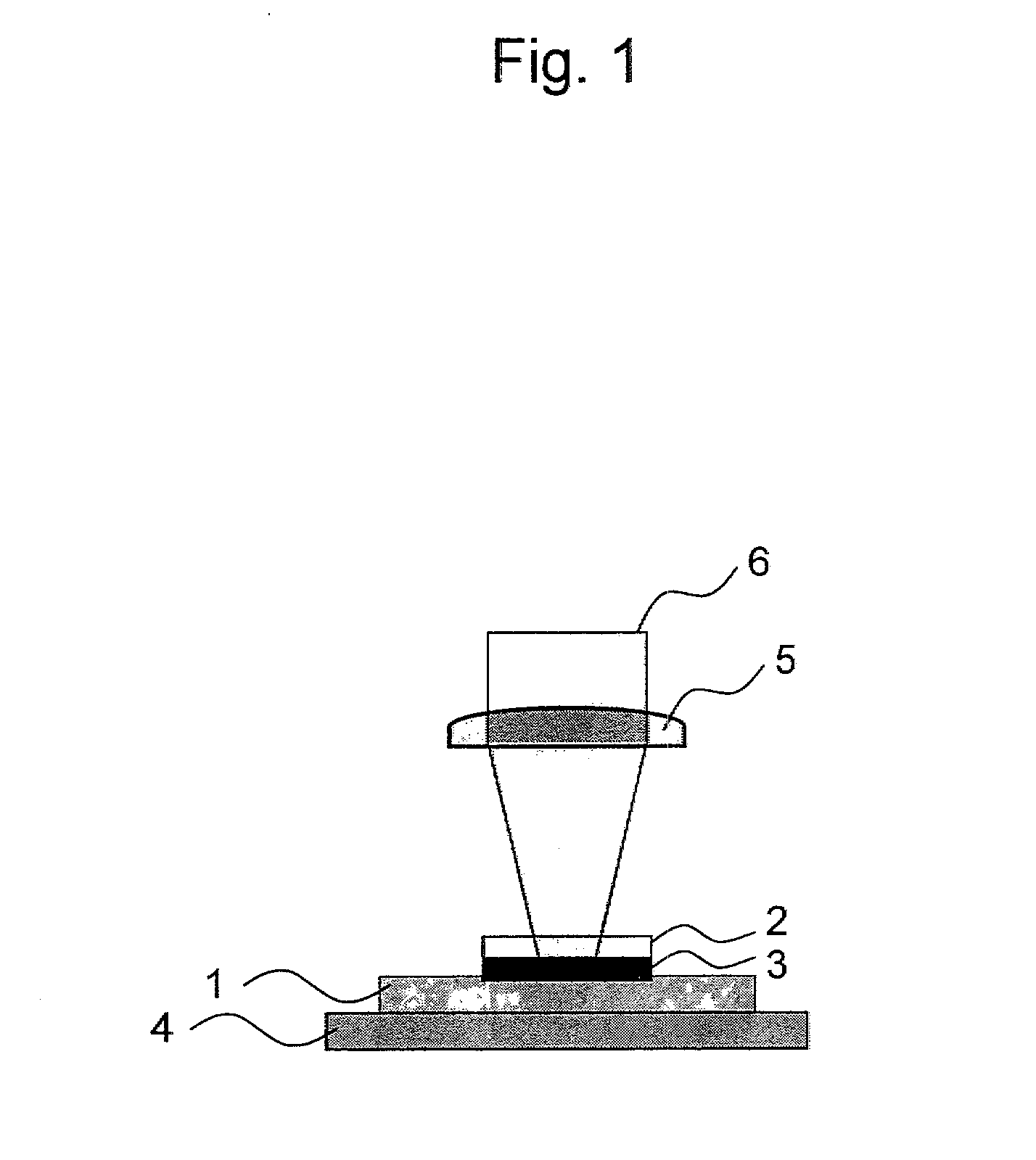 Method and apparatus for drug delivery to tissue or organ for transplant