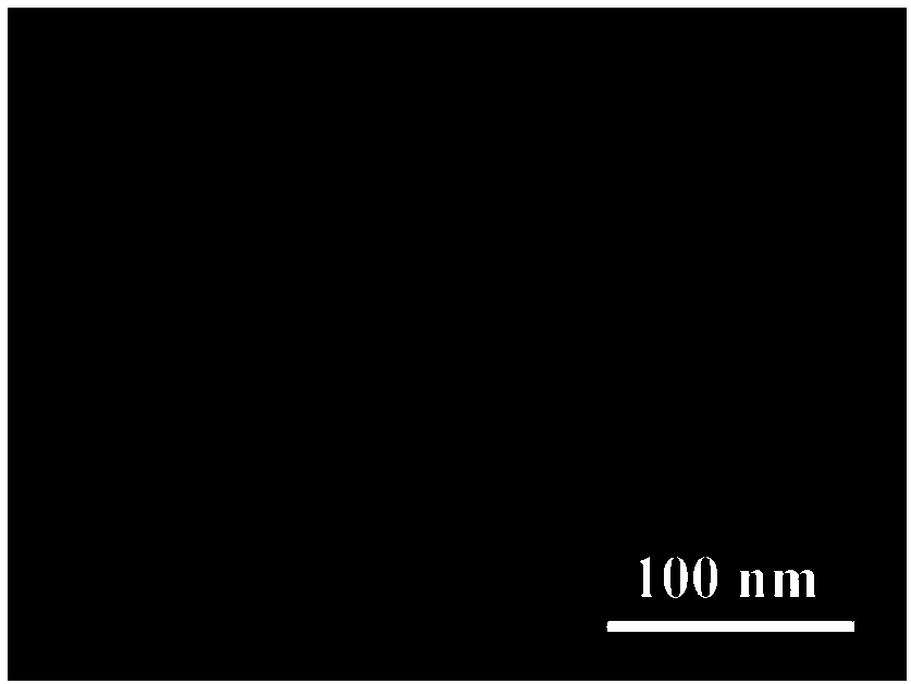 Particle spacing control method for ordered precious metal nano-particle array