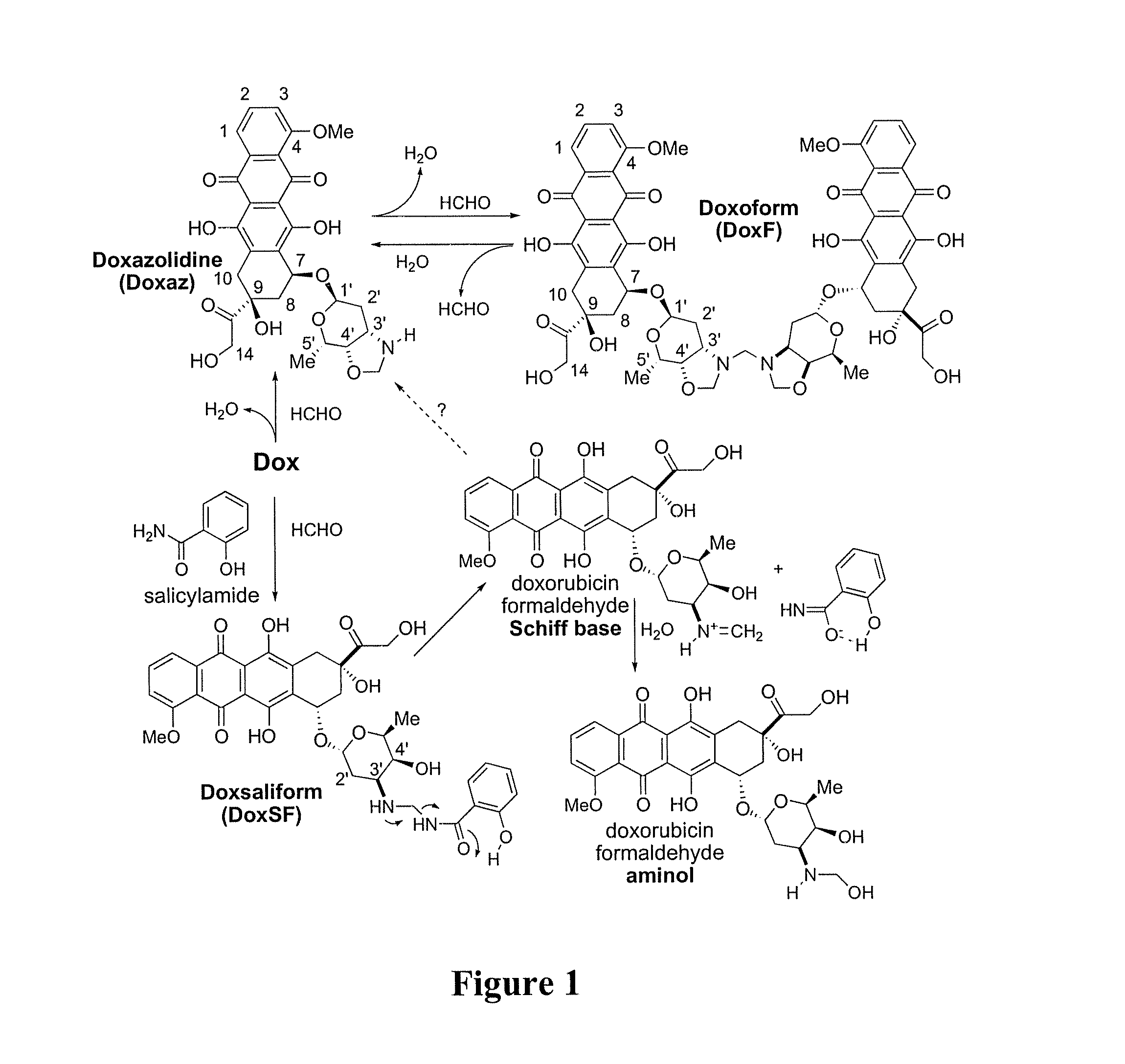 Methods of treating cancer with doxazolidine and prodrugs thereof