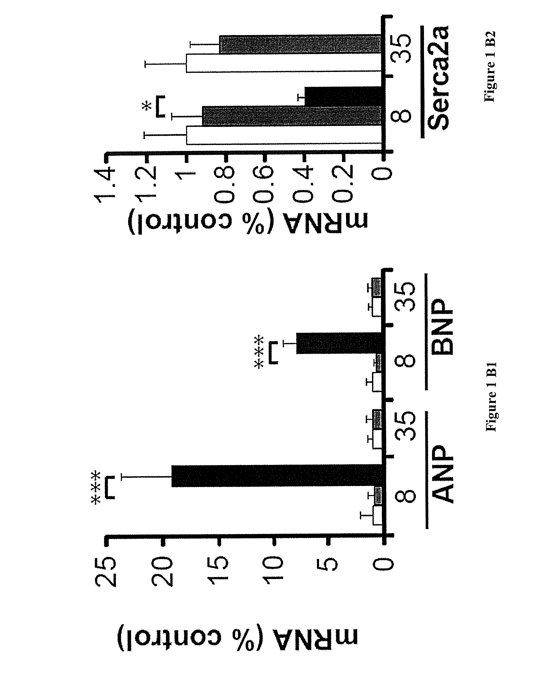 Methods and pharmaceutical compositions for the treatment of   cardiomyopathy due to friedreich ataxia