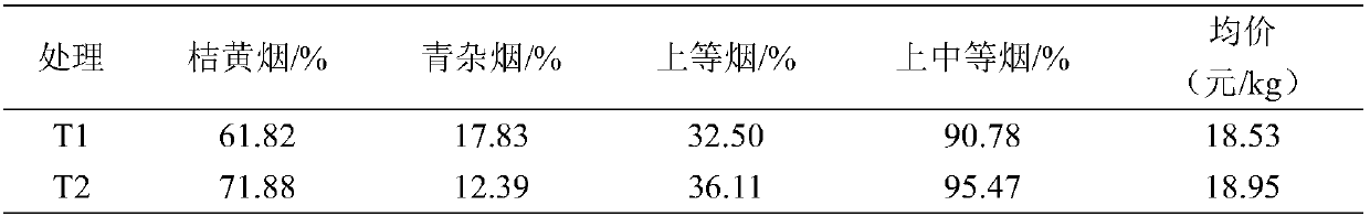 A roasting process for promoting ripening of upper leaves of flue-cured tobacco