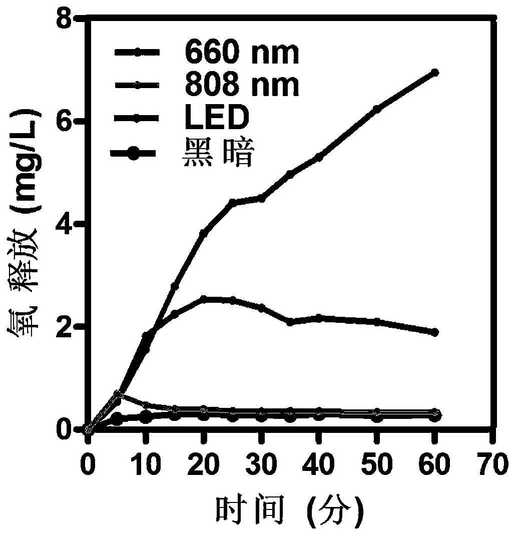 Living organism oxygen self-production photosensitizer and application thereof