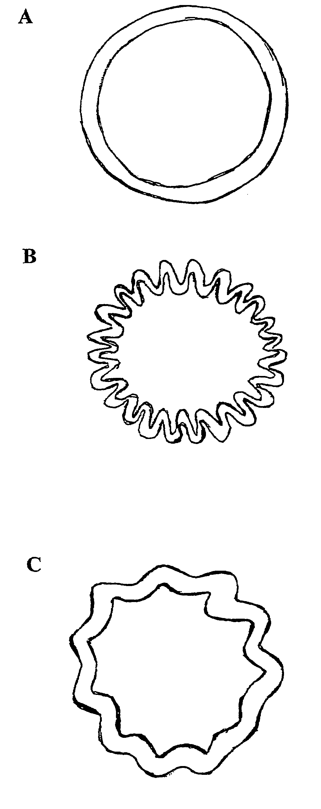 Non-hormonal vaginal contraceptive