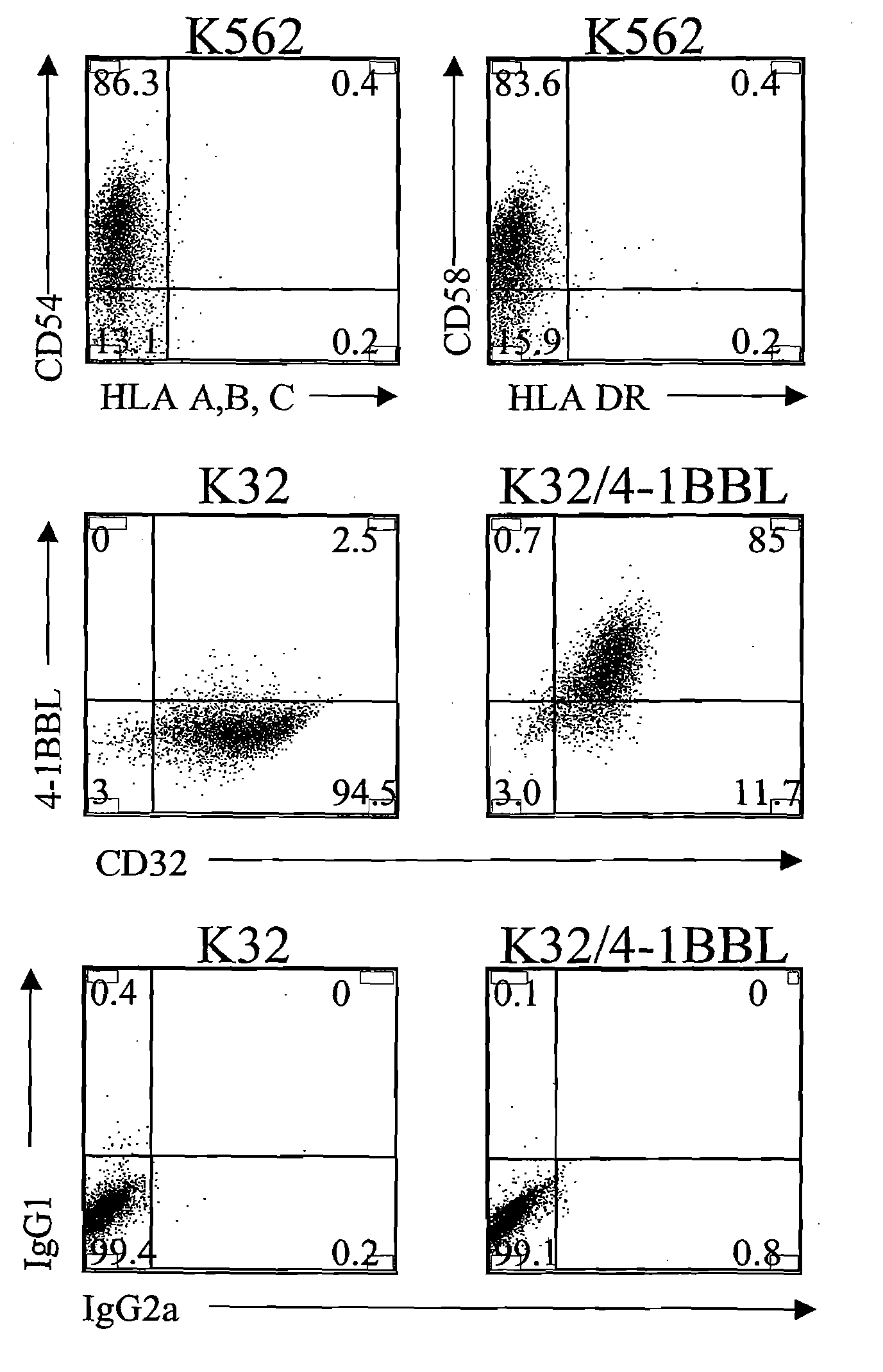 Activation and Expansion of T-Cells Using An Engineered Multivalent Signaling Platform as a Research Tool