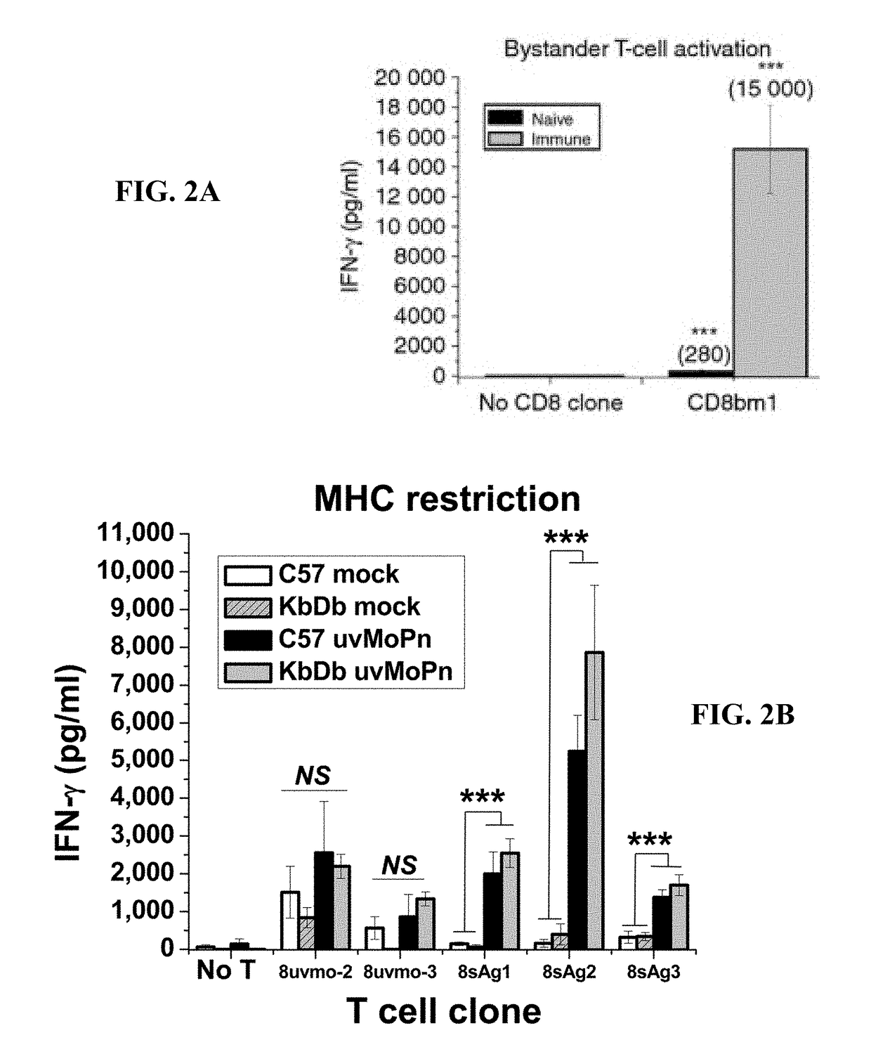 Methods and antisera for isolating and identifying subsets of cd8 t cells