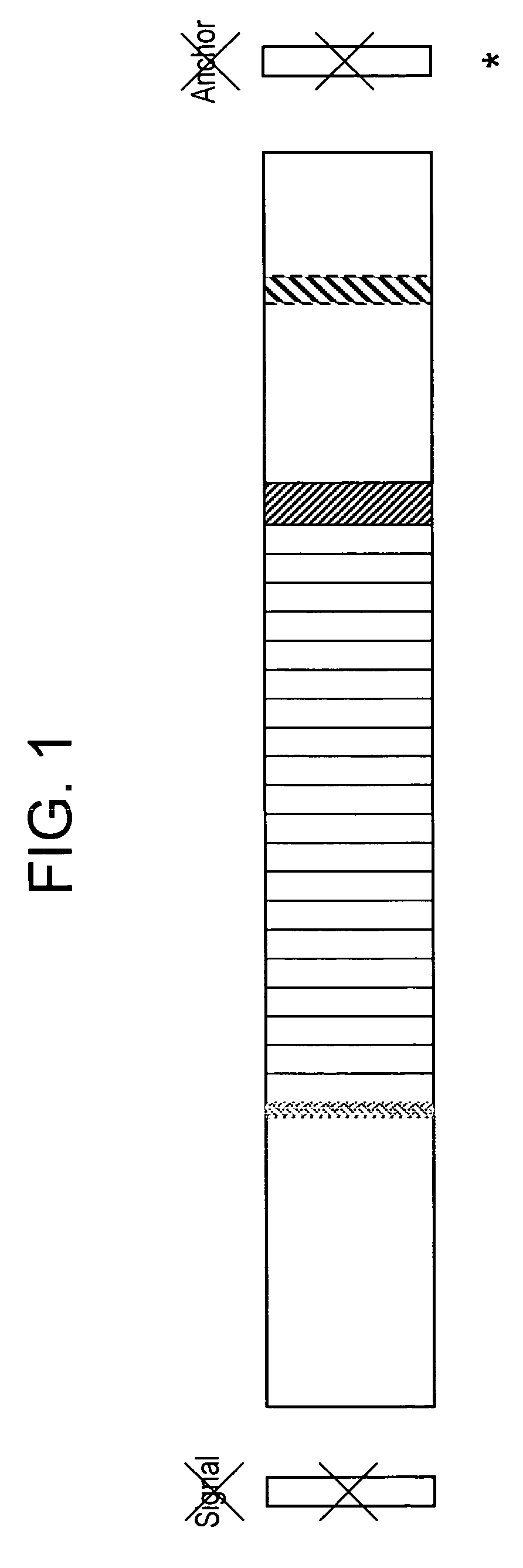 Plasmodium vivax hybrid circumsporozoite protein and vaccine