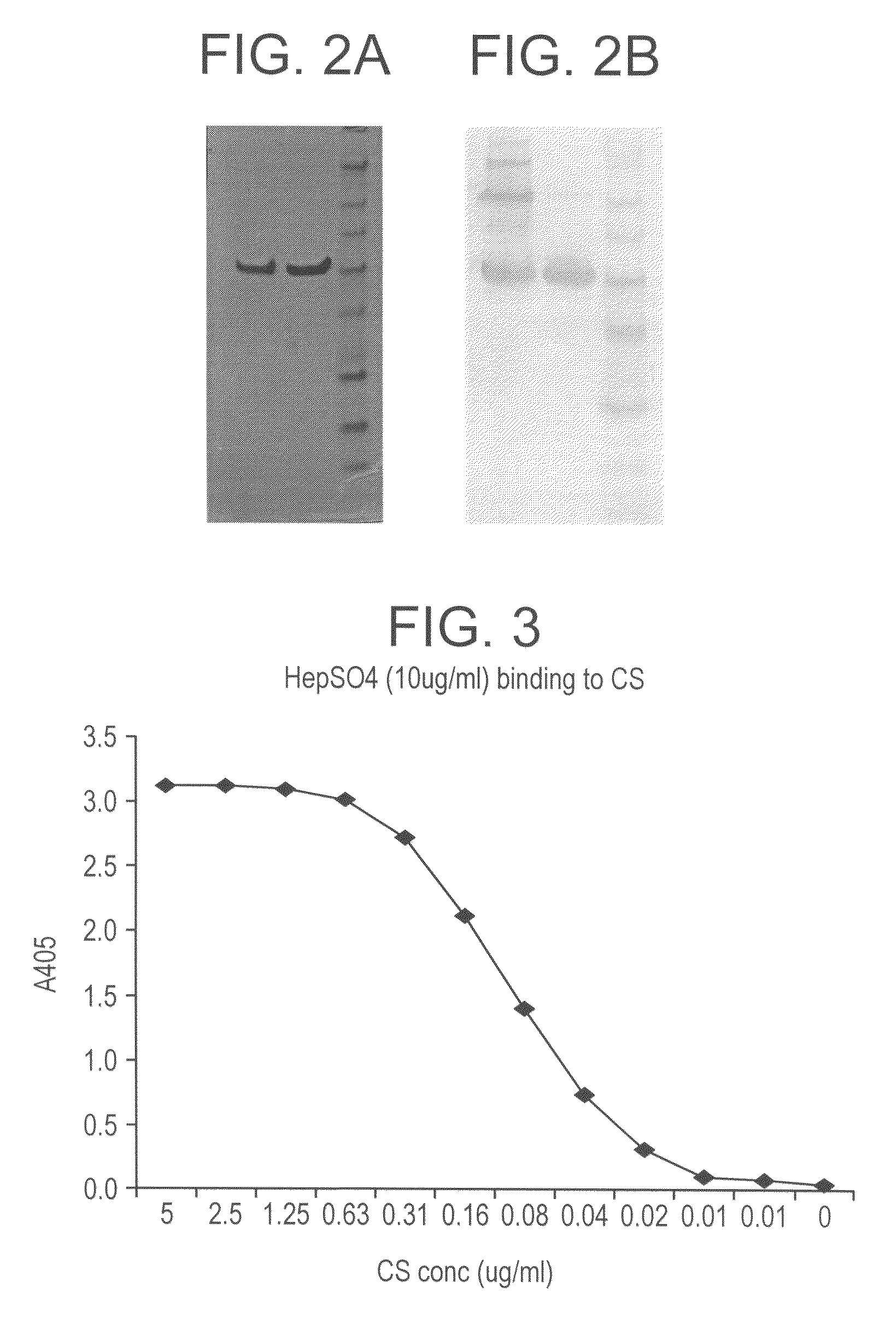 Plasmodium vivax hybrid circumsporozoite protein and vaccine