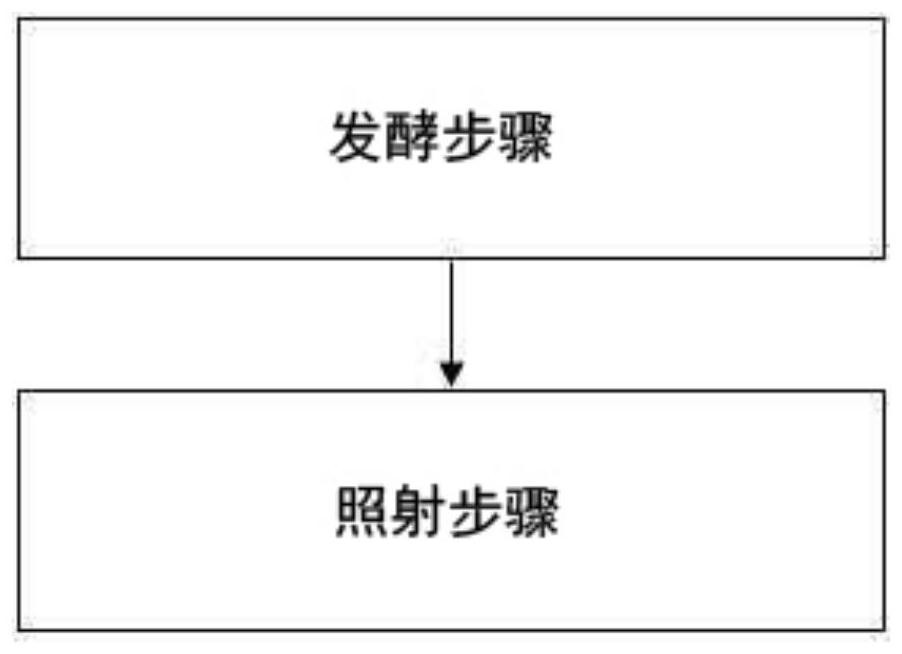 Method for increasing coumestrol content of germinated fermented beans using light-emitting diodes and germinated fermented beans produced by same