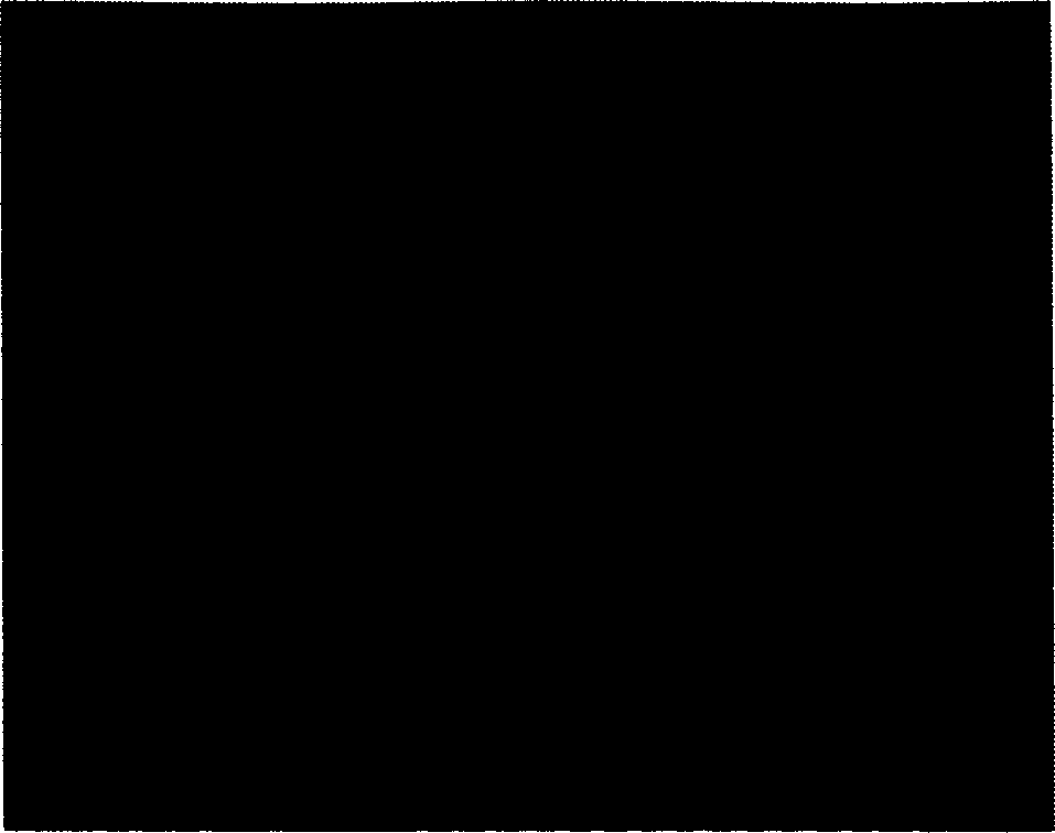 Method for realizing Fourier transfrom contour by generating pi phase shift by two-colour grating template