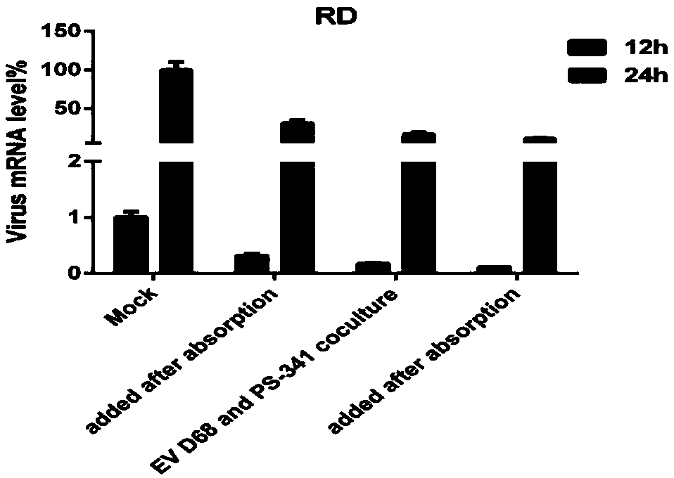 Application of compound PS-341 in preparation of inhibitor of enterovirus of picornaviridae