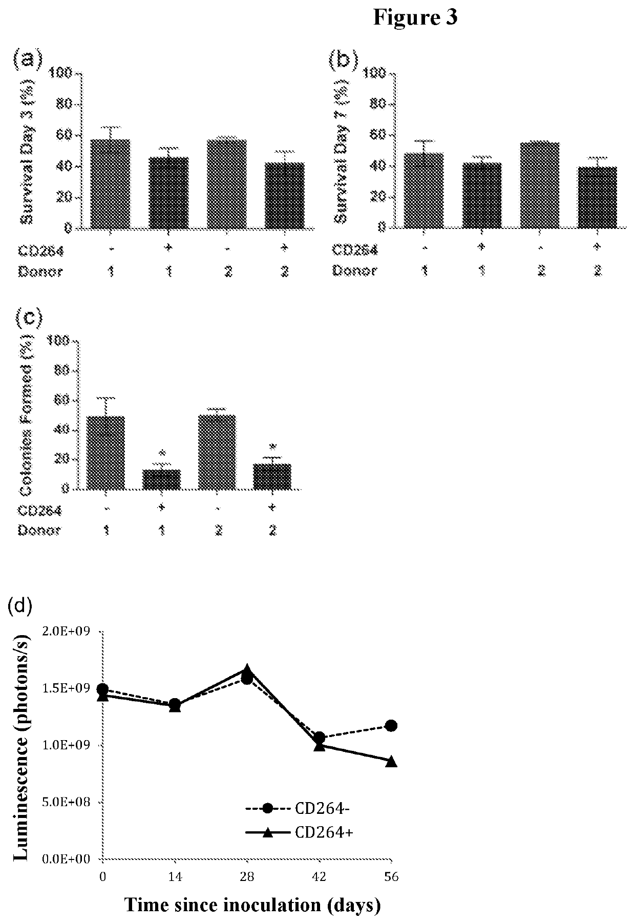 Method of improving the in vivo survival of mesenchymal stem cells