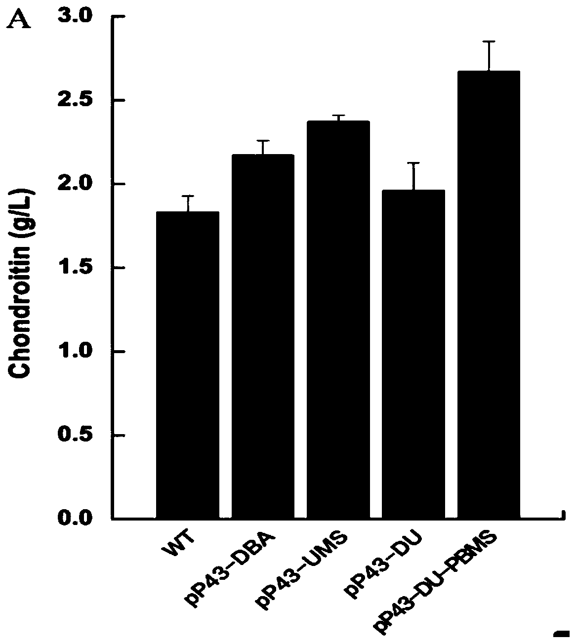 A kind of recombinant Bacillus subtilis with high chondroitin production and its application