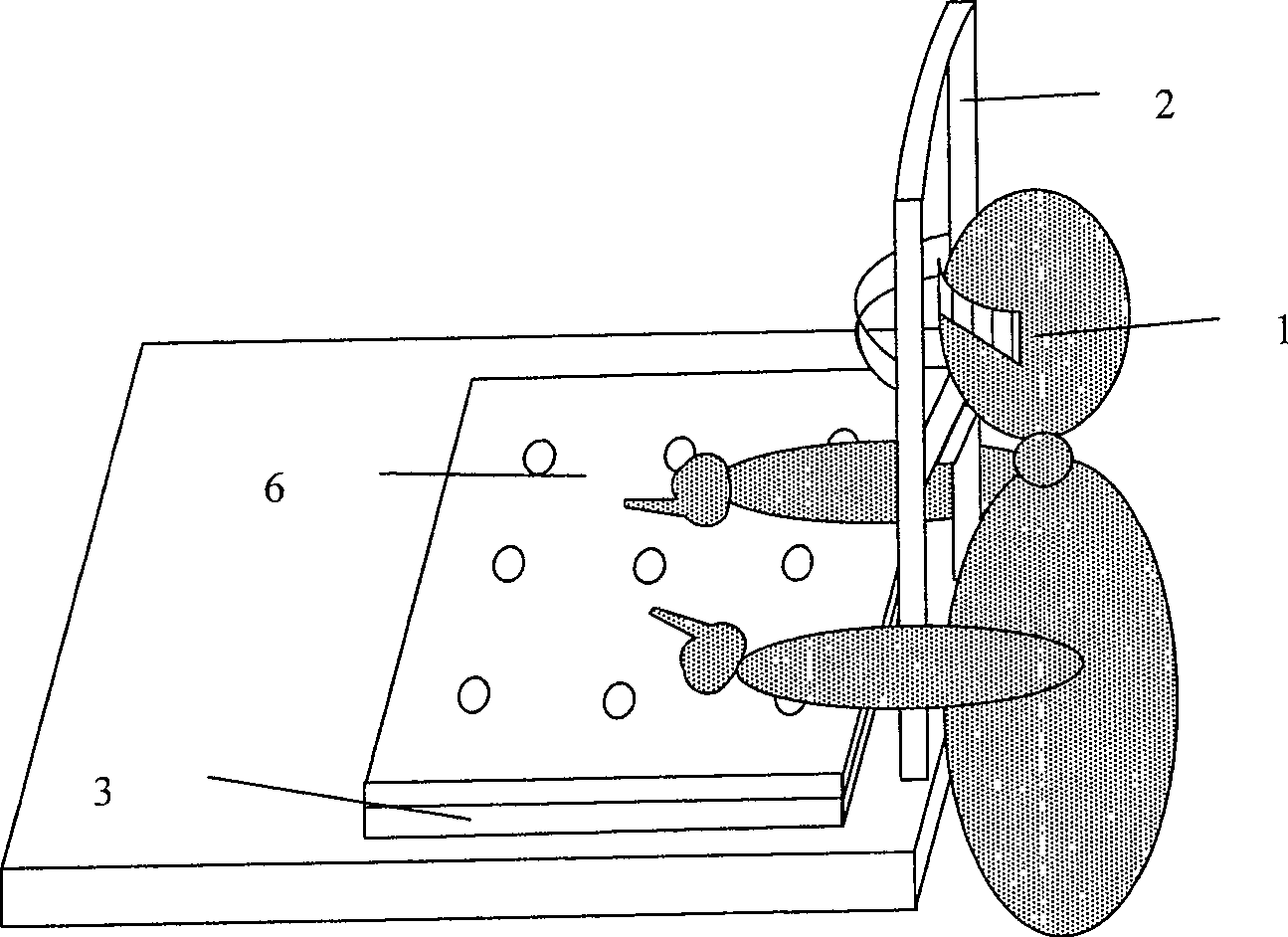 Visual hallucination emulation positioning system based on touch