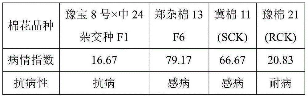 Detection method for disease resistance of cotton verticillium wilt