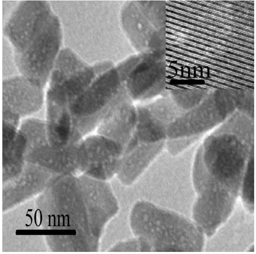 Preparation method of mesoporous apatite nano-drug carrier with pH responsiveness and cellular targeting property for hepatoma cell