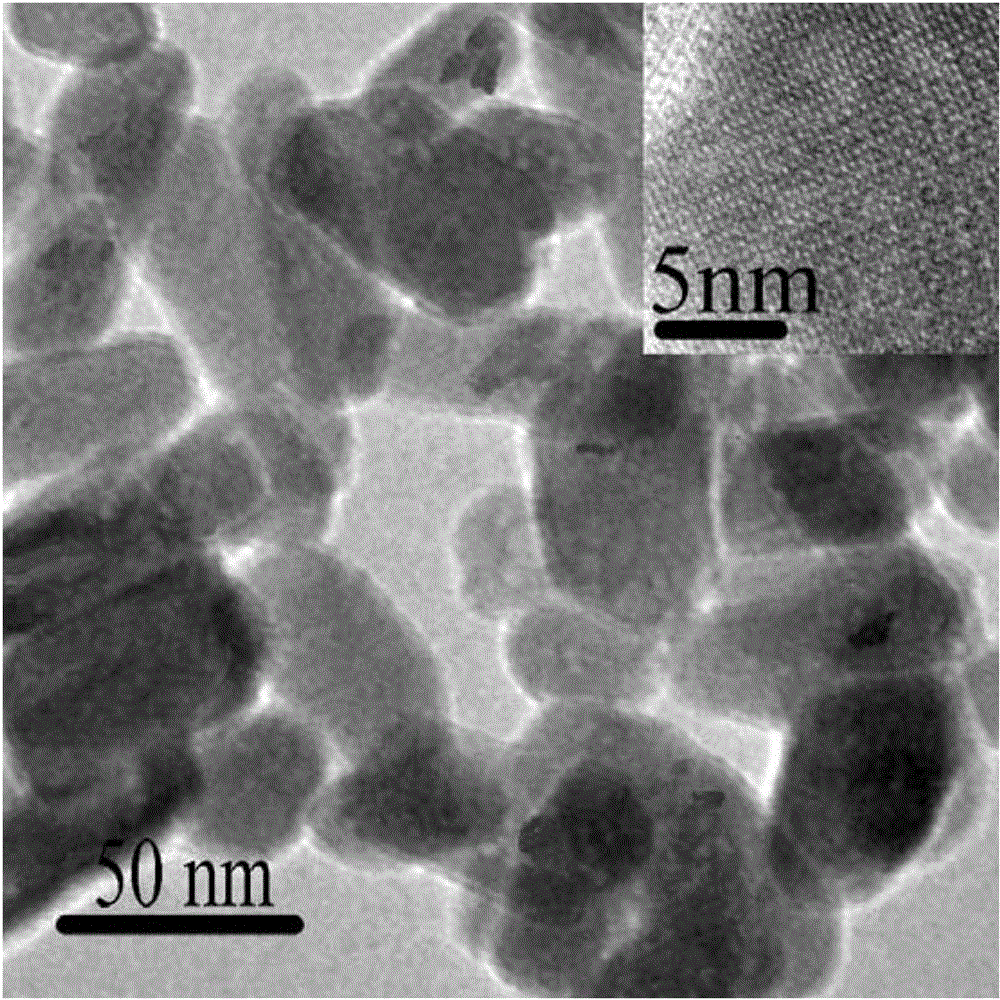 Preparation method of mesoporous apatite nano-drug carrier with pH responsiveness and cellular targeting property for hepatoma cell