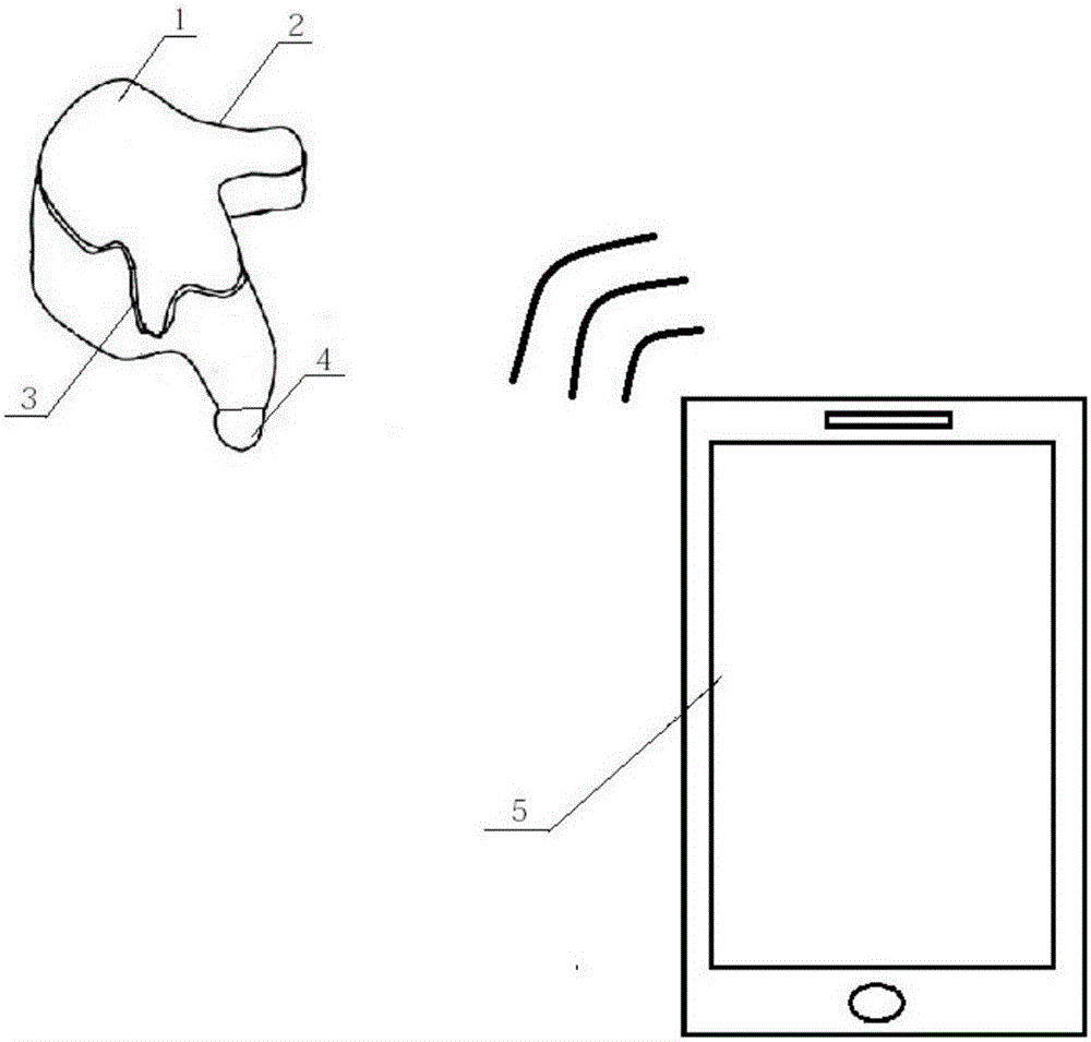 Customized bluetooth hearing aid